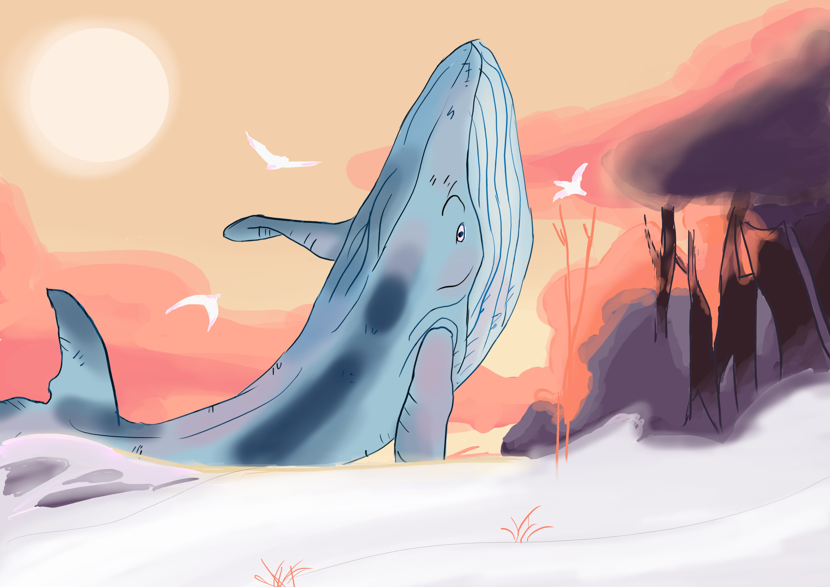Dessin Baleine